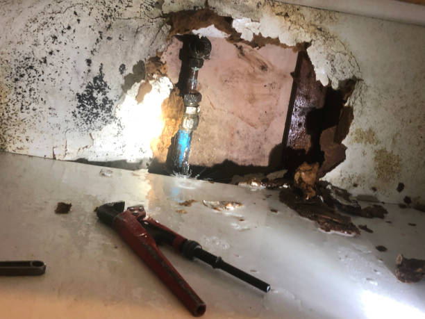 Tekirdağ Noktasal Su Kaçak Tespiti ve Tamiri – Tekirdağ Sıraca Tesisat ile Hızlı ve Kesin Çözümler
